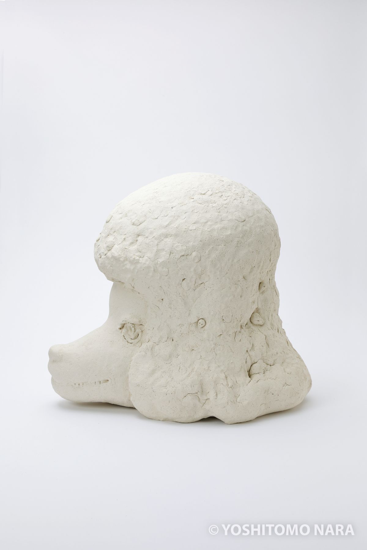 No.YNF6823 - Shi-Ma 2020 | YOSHITOMO NARA The Works - 奈良美智