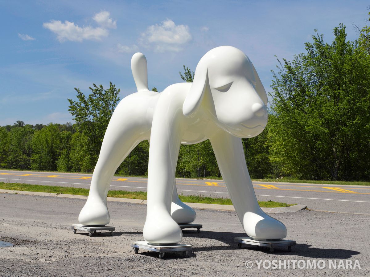 No.YNF6464 - Your Dog 2017 | YOSHITOMO NARA The Works - 奈良